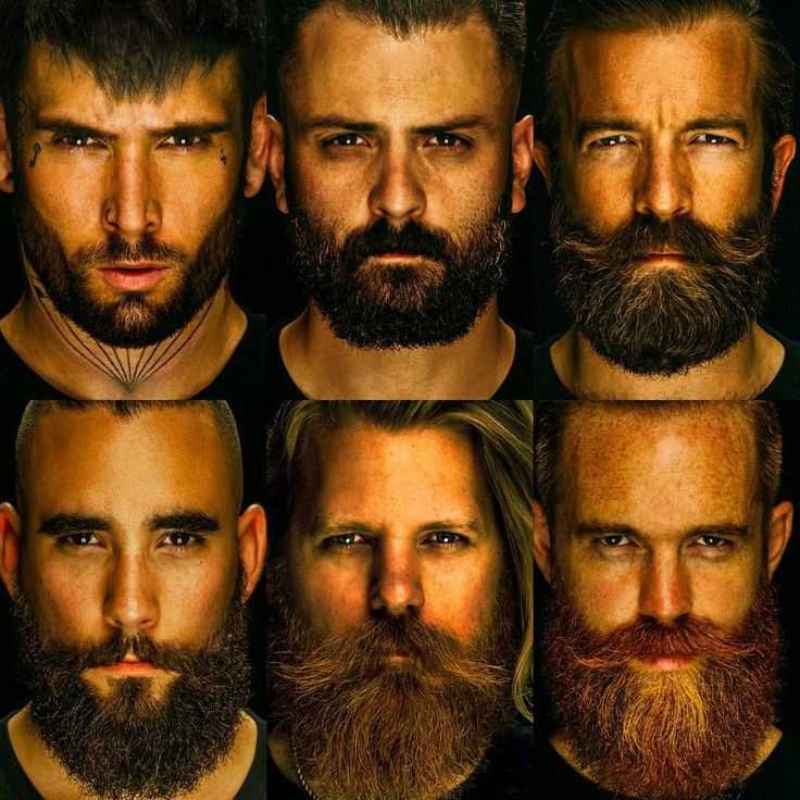 Виды мужской бороды