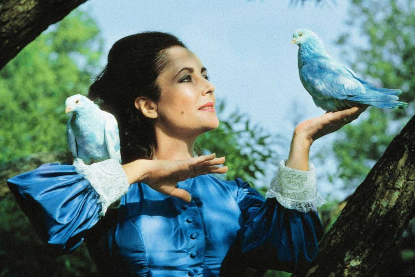 Фильм синяя птица 1976 актеры и роли фото