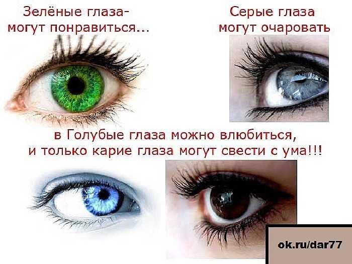 Напиши какого цвета глаза у твоих близких