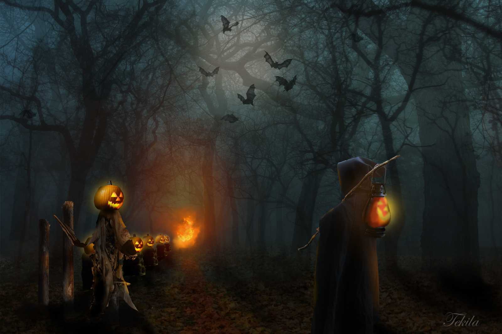 13 самых интересных фактов о хэллоуине | интересные факты вики | fandom