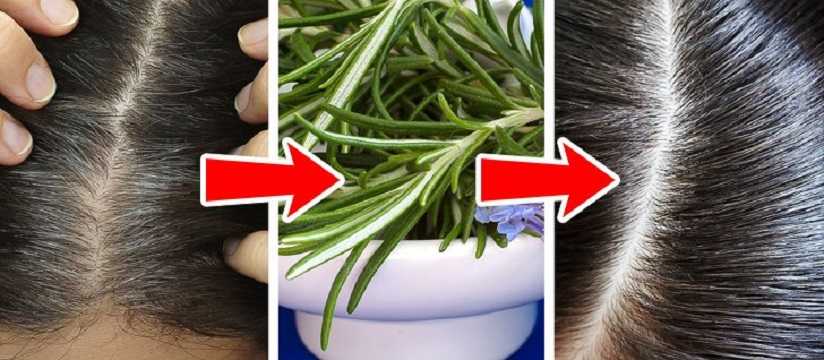 Как закрасить седые волосы натуральными средствами в домашних условиях?