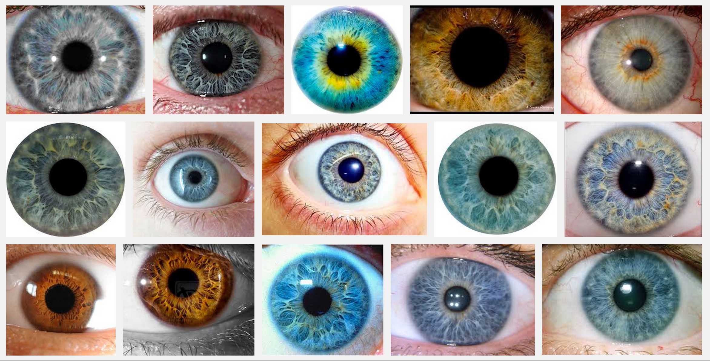Существующие цвета глаз