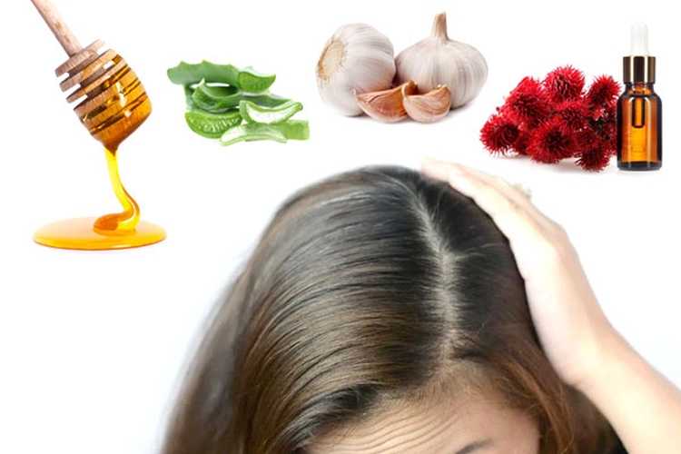 Как вылечить жирные волосы: советы трихолога по лечению и уходу. обзор шампуней для ухода за жирными волосами. специальные средства для лечения жирных волос. народные рецепты для жирных волос