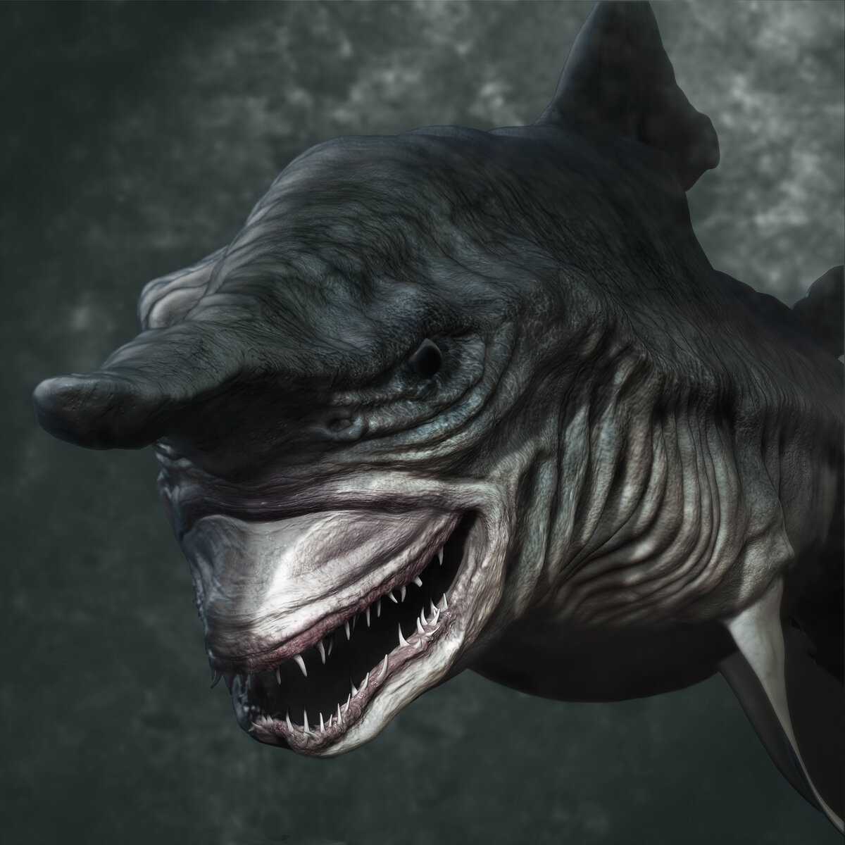 Мегалодон: факты о давно вымершей гигантской акуле | знание – свет