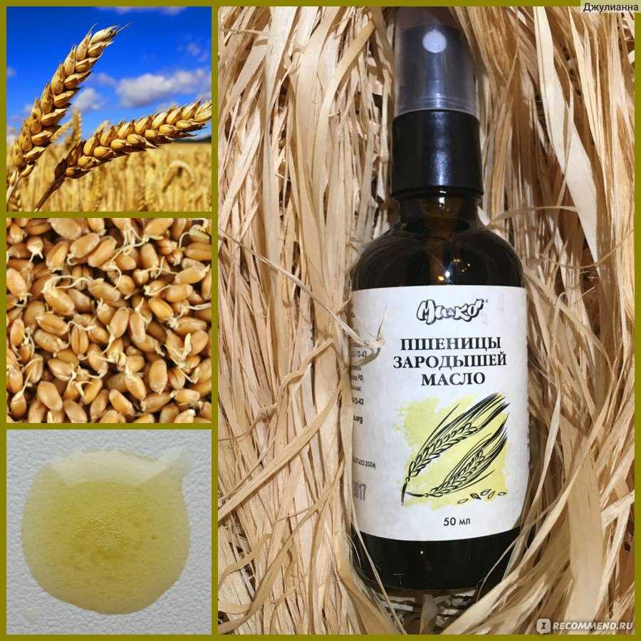 Масло зародышей пшеницы для волос. применение масла зародышей пшеницы для восстановление волос.