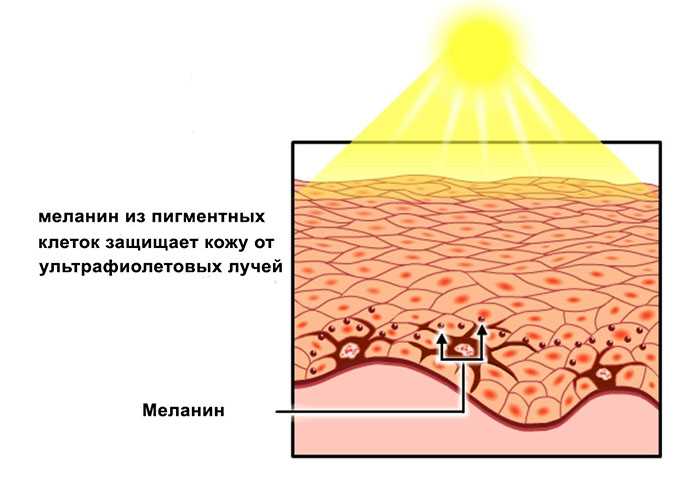 Как выбрать солнцезащитный крем spf 50 — cmt научный подход