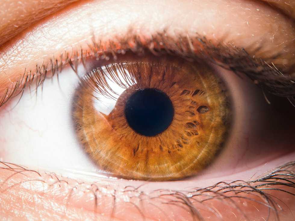 Макияж для зеленых глаз: лучшие варианты с фото