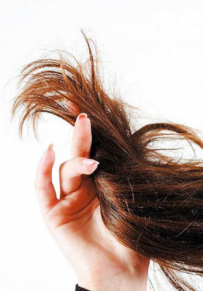 Фен расческа для укладки волос - какой прибор лучше выбрать?