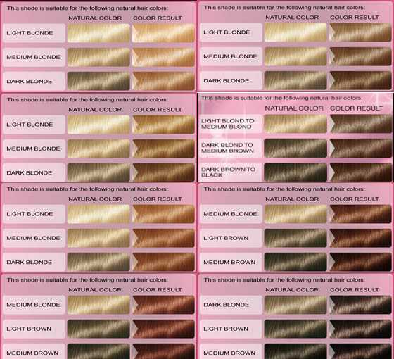 Краска для волос "палет": палитра цветов, способы окрашивания, отзывы и фото