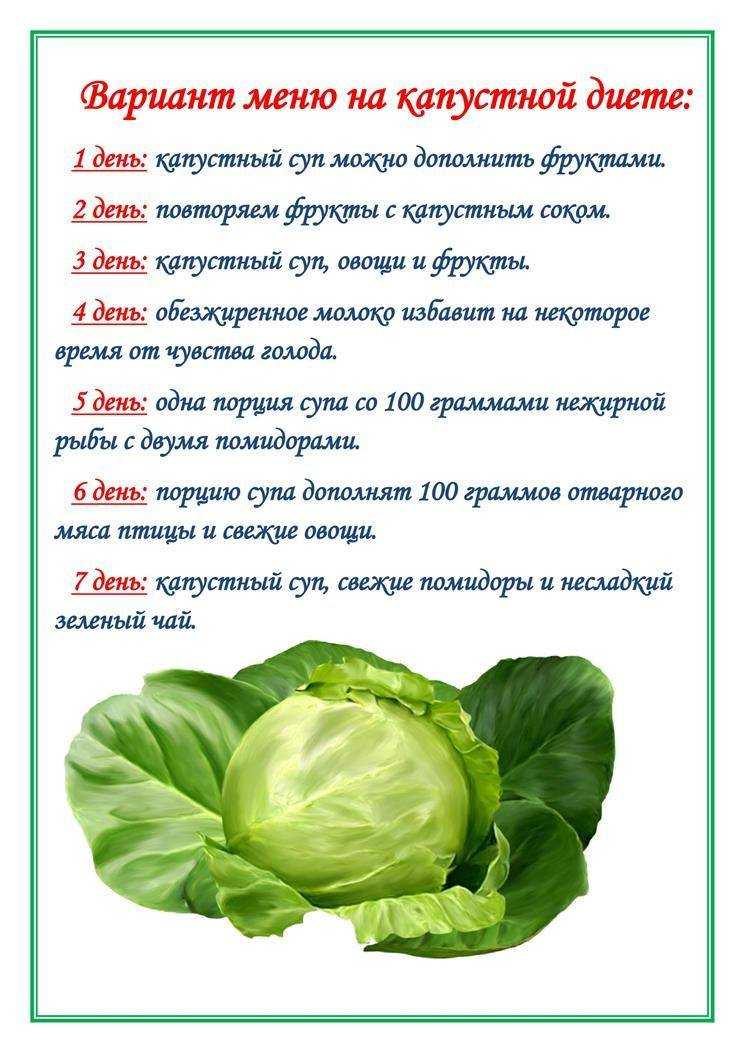 Капустная диета: как похудеть на 24 кг за месяц, меню | medded.ru