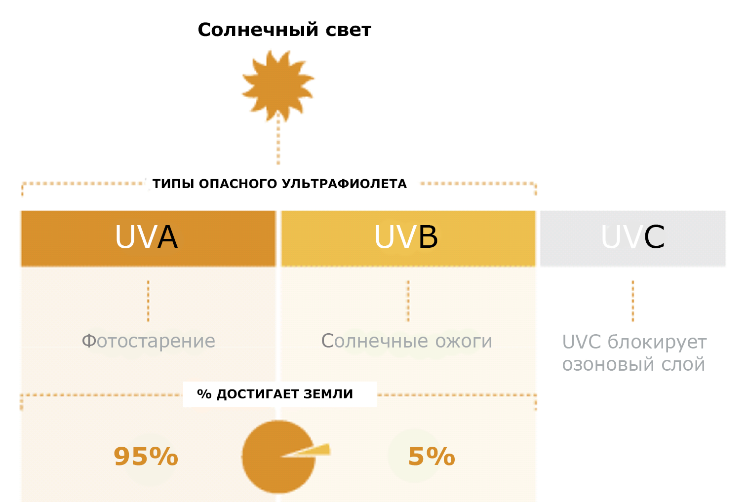 Типы солнечных лучей. Солнечные лучи UVA И UVB. Типы УФ лучей. Солнечные лучи SPF.