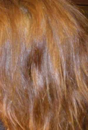 Как убрать рыжину с волос после окрашивания, осветления с русых и темных волос