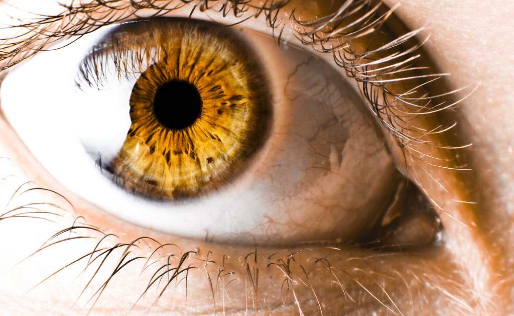 Карие глаза: что нужно знать об этом удивительном цвете глаз