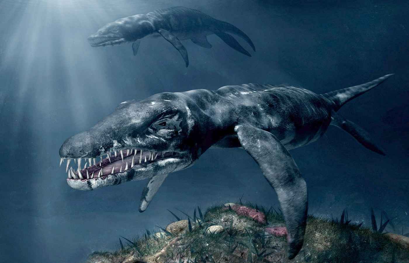Акула мегалодон сильнее самых страшных динозавров